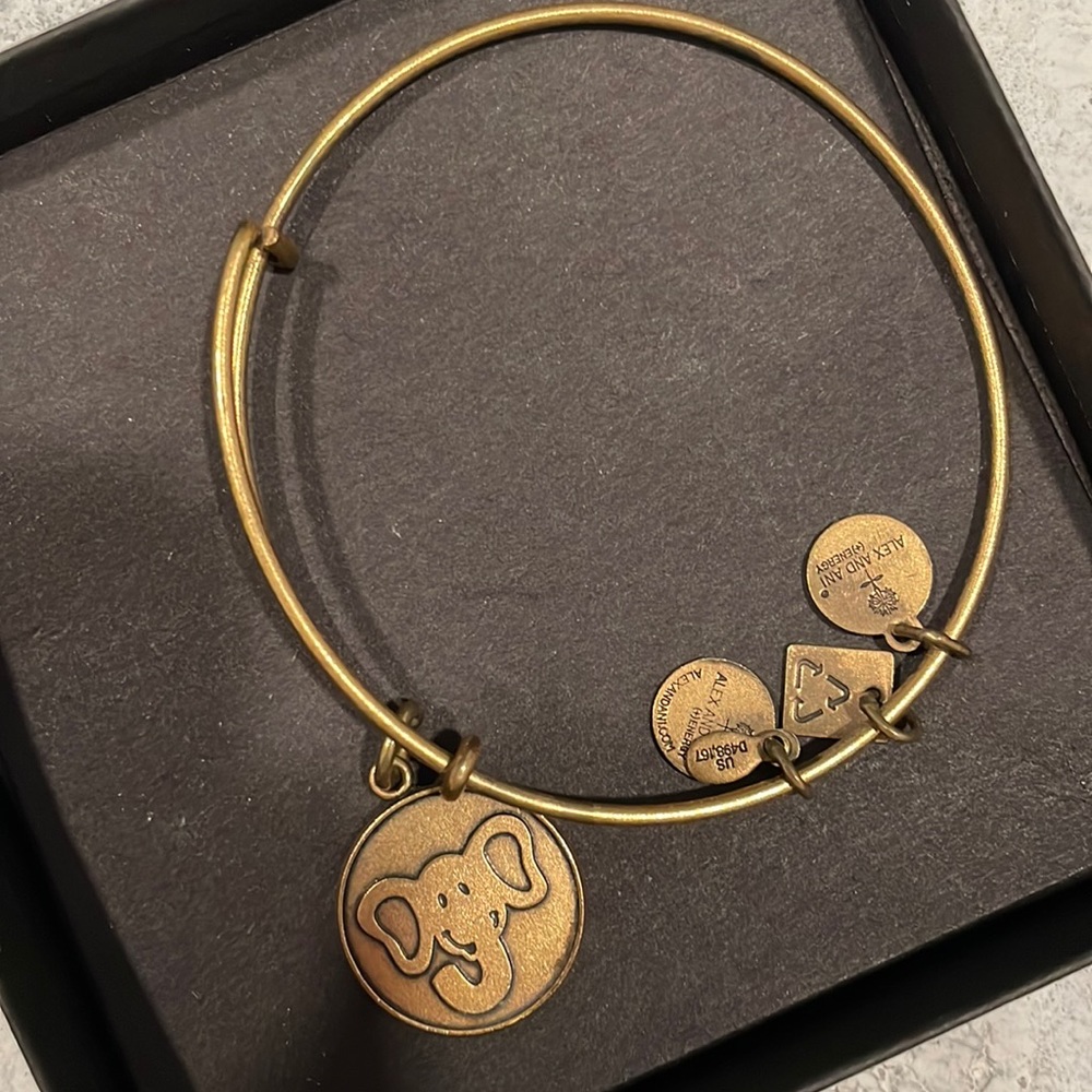 Alex and ani bracelet